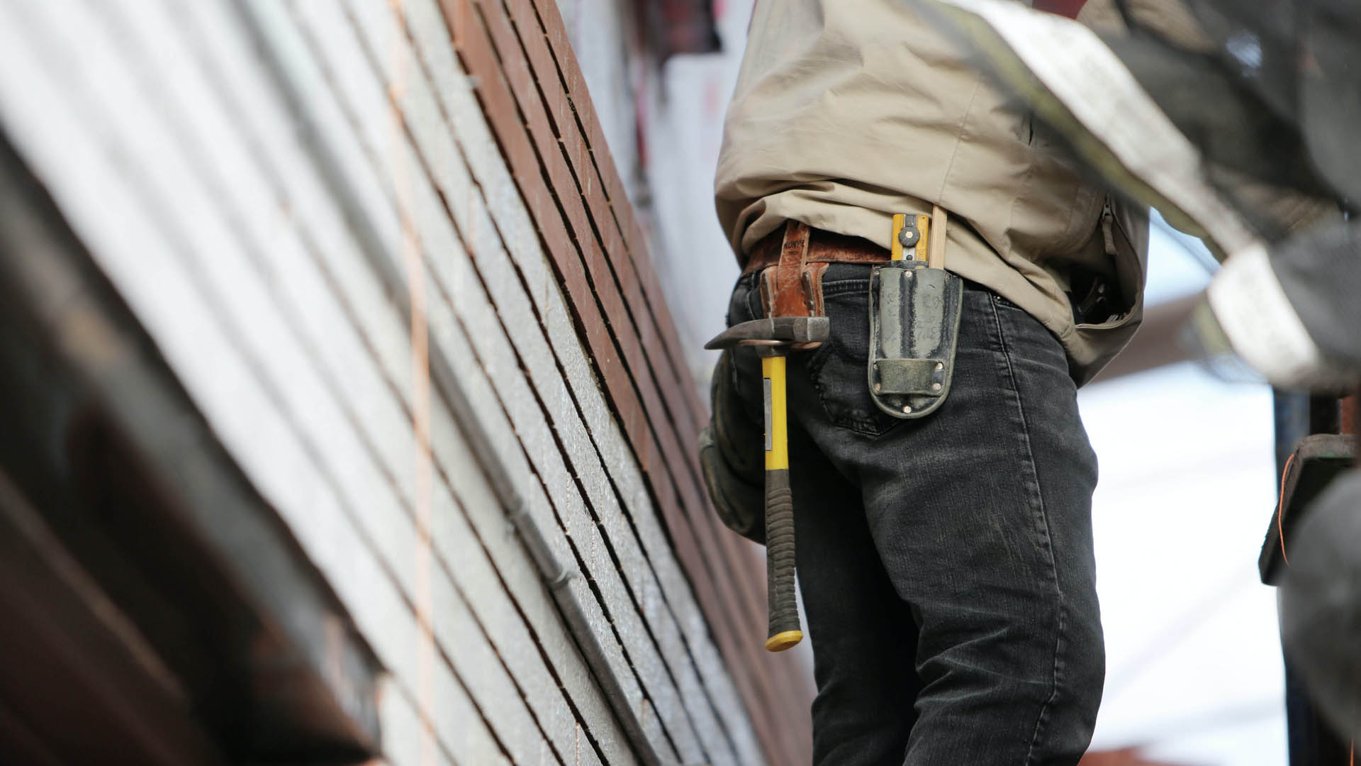 Curabitur maga velt condimentum sagittis eros dapibus